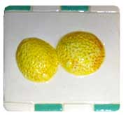 4&nbsp; Relief Ceramic Fruit Tiles - Lemon (12)