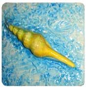 4&nbsp; Relief Ceramic Shell Tiles - Sea Shell (12)
